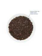 Min Bester, Admirals Cup, 15 x 2,6g
