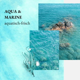 we:care2 Duschgel, Aqua-Marine, 250 ml