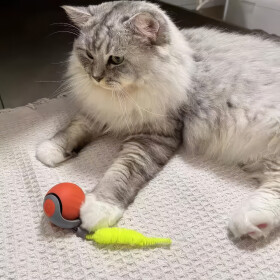 Speedy Katzenspielzeug Ball Akku, blau