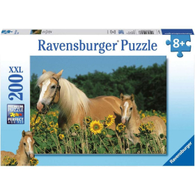 Ravensburger Pferdeglück